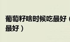 葡萄籽啥时候吃最好（葡萄籽什么时候吃效果最好）