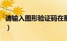 请输入图形验证码在那找（请输入图形验证码）