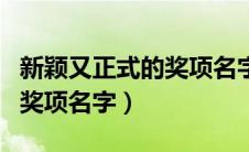 新颖又正式的奖项名字怎么取（新颖又正式的奖项名字）
