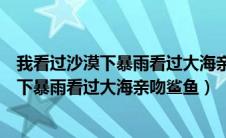 我看过沙漠下暴雨看过大海亲吻鲨鱼是哪首歌（我看过沙漠下暴雨看过大海亲吻鲨鱼）