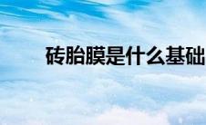 砖胎膜是什么基础（砖胎膜是什么）