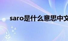 saro是什么意思中文（sar是什么意思）