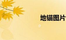 地锚图片（地锚）