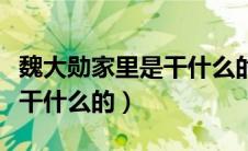 魏大勋家里是干什么的魏绍林（魏大勋家里是干什么的）