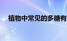 植物中常见的多糖有哪些（多糖有哪些）
