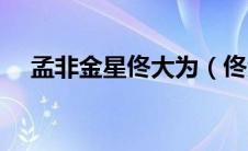 孟非金星佟大为（佟大为孟非综艺节目）