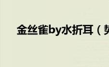 金丝雀by水折耳（势不可挡by柴鸡蛋）