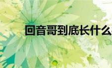 回音哥到底长什么样（回音哥现状）
