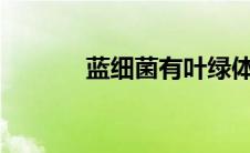 蓝细菌有叶绿体吗?（蓝细菌）