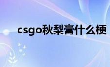 csgo秋梨膏什么梗（秋梨膏是什么梗）