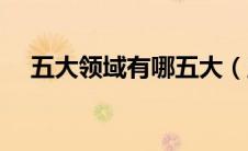 五大领域有哪五大（五大领域都是什么）
