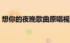 想你的夜晚歌曲原唱视频（想你的夜晚歌曲）