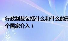 行政制裁包括什么和什么的形式（行政制裁和刑事制裁是一个国家介入）