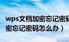 wps文档加密忘记密码怎么办啊（wps文档加密忘记密码怎么办）
