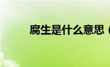 腐生是什么意思（腐生是指什么）