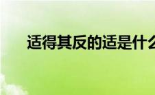 适得其反的适是什么意思（适得其反）