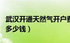 武汉开通天然气开户费多少钱（天然气开户费多少钱）