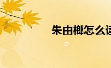朱由榔怎么读（朱由榔）