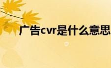 广告cvr是什么意思（cvr是什么意思）