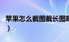 苹果怎么截图截长图啊（苹果怎么截图截长图）