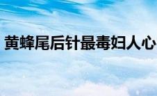 黄蜂尾后针最毒妇人心完整句（黄蜂尾后针）