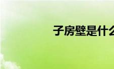 子房壁是什么（子房壁）