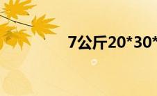 7公斤20*30*40行李图片