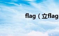 flag（立flag是什么意思）