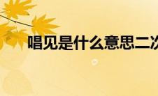 唱见是什么意思二次元（唱见是什么）