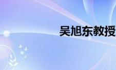 吴旭东教授（吴旭东）