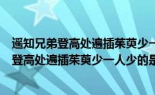 遥知兄弟登高处遍插茱萸少一人这两句话的意思（遥知兄弟登高处遍插茱萸少一人少的是）
