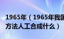 1965年（1965年我国首次在世界上采用化学方法人工合成什么）