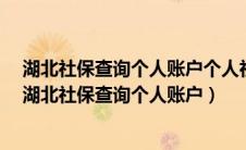 湖北社保查询个人账户个人社保缴费明细怎么查询(图文)（湖北社保查询个人账户）