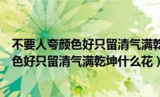 不要人夸颜色好只留清气满乾坤什么花下一句（不要人夸颜色好只留清气满乾坤什么花）