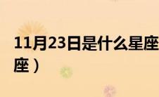 11月23日是什么星座的（11月23日是什么星座）