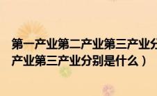 第一产业第二产业第三产业分别是什么地理（第一产业第二产业第三产业分别是什么）