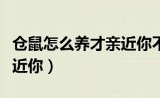 仓鼠怎么养才亲近你不咬你（仓鼠怎么养才亲近你）