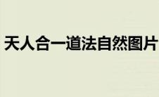 天人合一道法自然图片（天人合一道法自然）