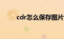 cdr怎么保存图片（cdr怎么保存）