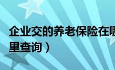 企业交的养老保险在哪里查询（养老保险在哪里查询）