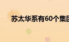 苏太华系有60个集团组成（苏太华系）