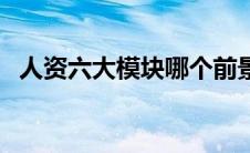 人资六大模块哪个前景好（人资六大模块）