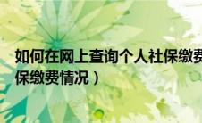 如何在网上查询个人社保缴费记录（如何在网上查询个人社保缴费情况）