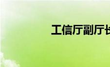 工信厅副厅长（工信厅）