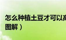 怎么种植土豆才可以高产（土豆种植方法步骤图解）