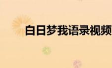 白日梦我语录视频（白日梦我语录）