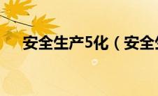 安全生产5化（安全生产五化是哪五化）