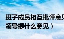 班子成员相互批评意见142条（民主生活会给领导提什么意见）