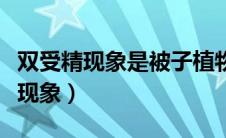 双受精现象是被子植物所特有的现象（双受精现象）
