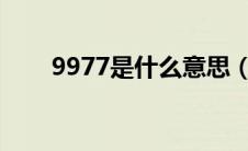 9977是什么意思（997是什么意思）